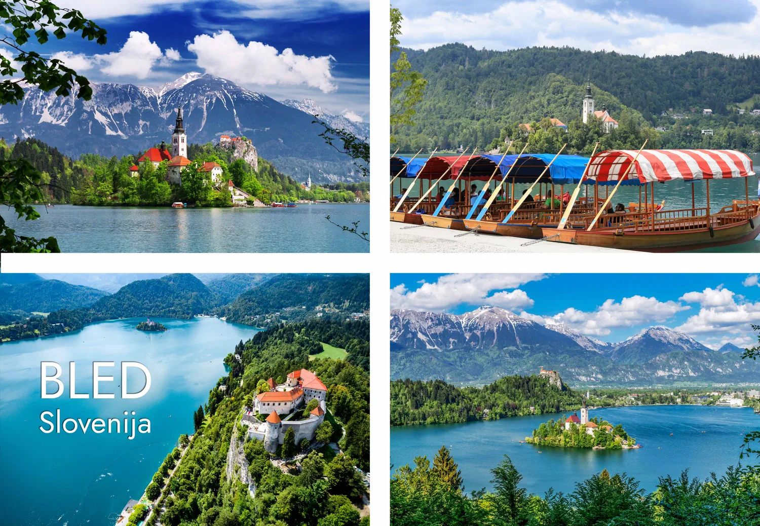 bled 11 2026 kolaž magnet pravokoten mockup1
