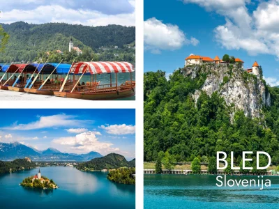 BLED 6