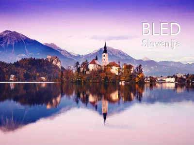 BLED 7