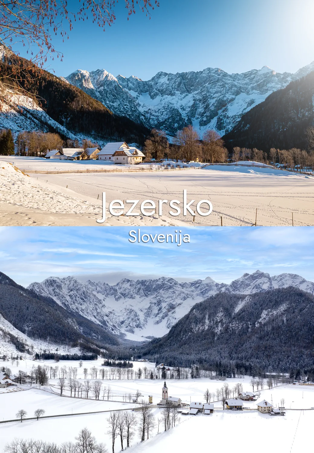 jezersko 7 magnet pravokoten 54x78mm1 Foto magnet Jezersko – jezersko-solčavska govedja pasma na paši pod Kamniško-Savinjskimi Alpami, magnet pravokotnik 54x78 mm